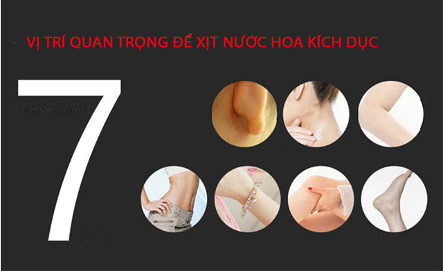 Vị trí xịt nước hoa tốt nhất Vị trí xịt nước hoa tốt nhất